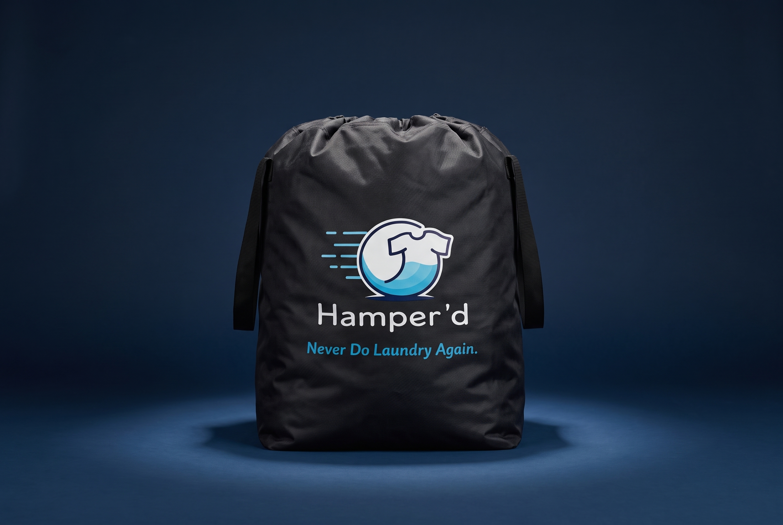 Flat Rate Laundry Subscription Raleigh Nc Hamperd Bag